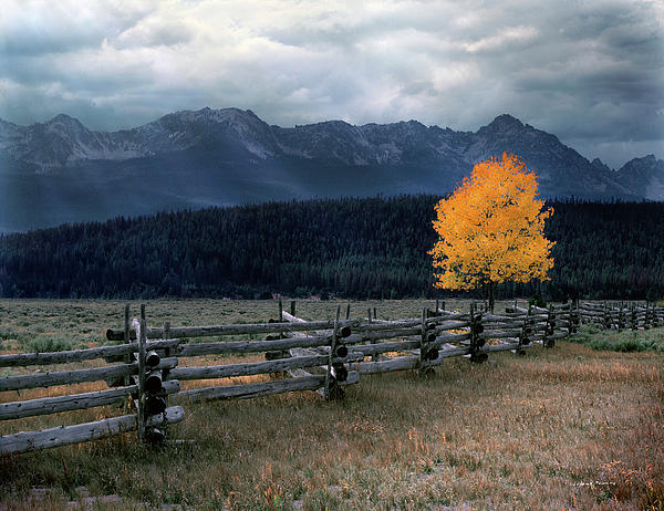 Autumn Light Photograph