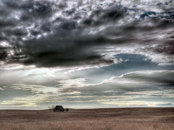 Montana Grasslands Photograph